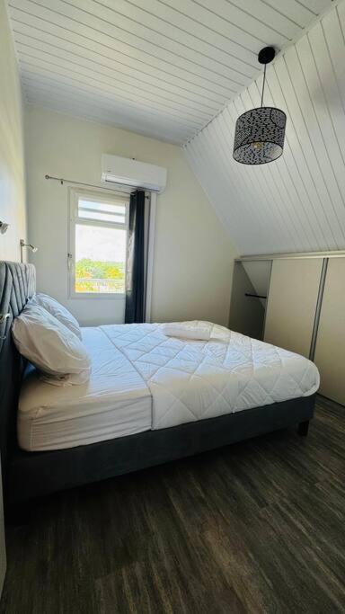 Remire-MontjolyT2 Le Cosy, Au Coeur De Montjoly, Parking, Clim公寓 外观 照片